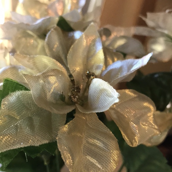 Bundle of 14 Champagne and silver Poinsettia bush. Almost new condition - Picture 11 of 11